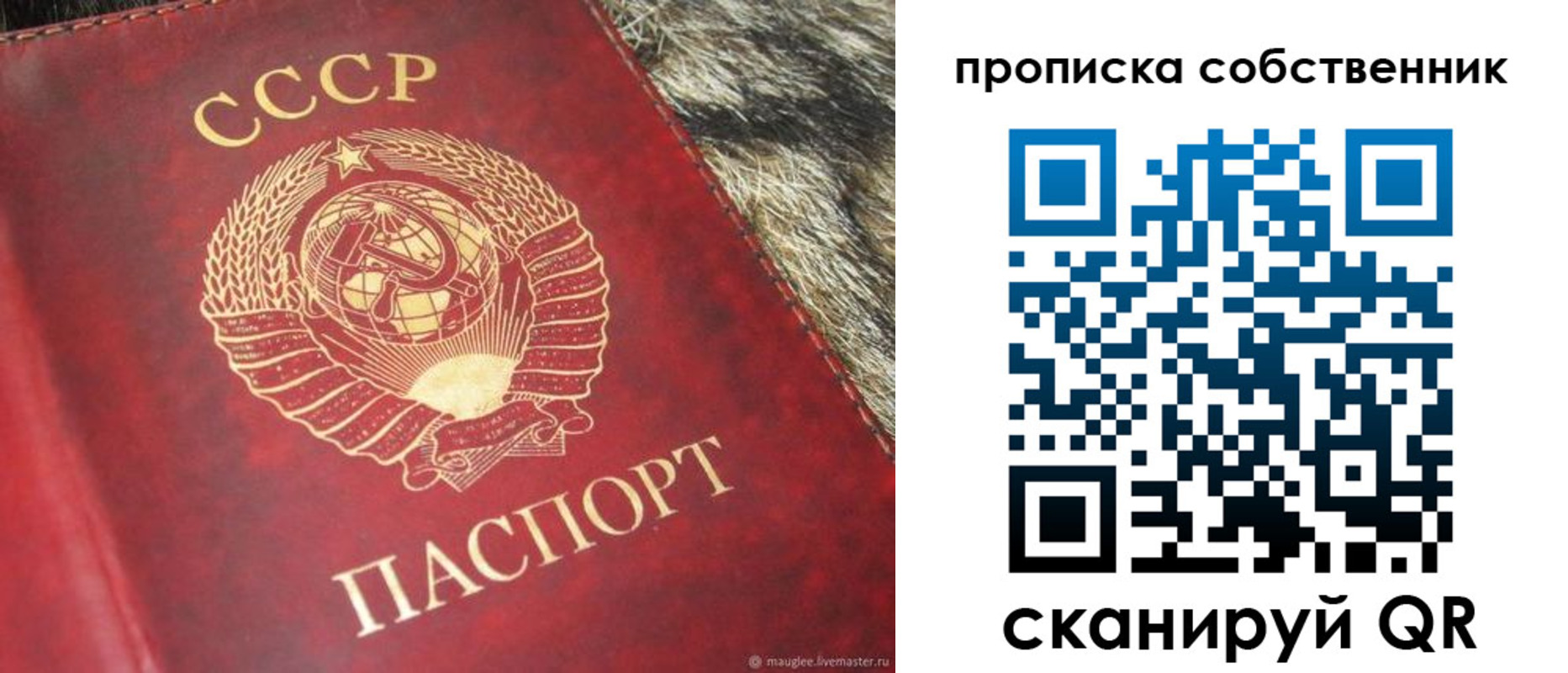 прописка в квартире в Николаевске-на-Амуре